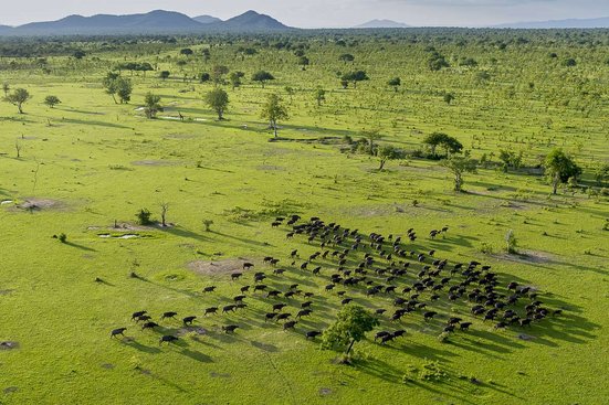 afrika safari reise buchen