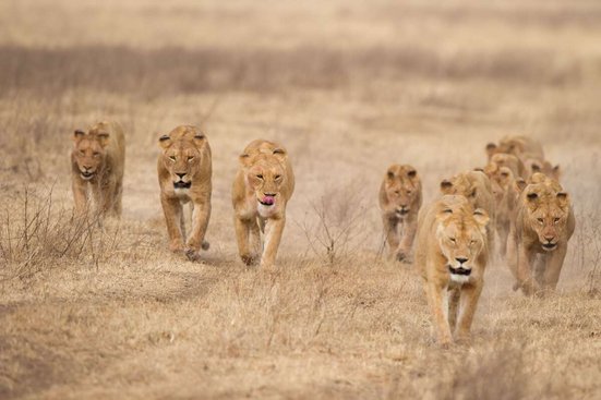 kuoni namibia safari