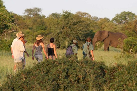 afrika safari reise buchen
