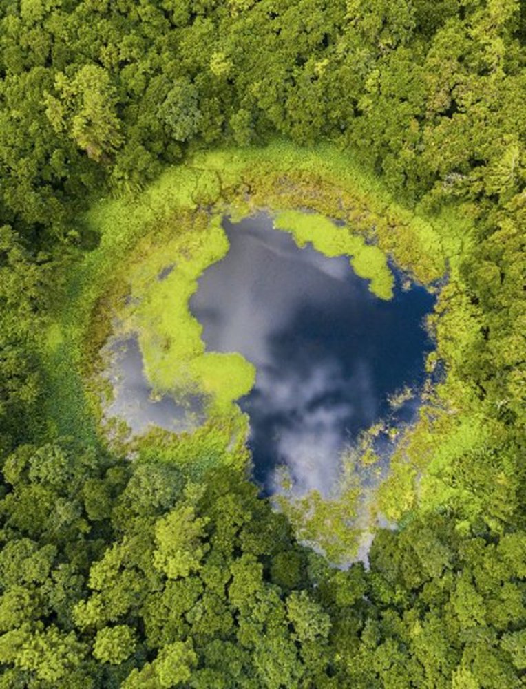 Luftaufnahme eines Sees in Mauritius, umgeben von üppigen Bäumen und grünem Ufer.