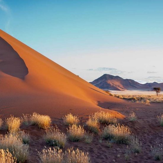 Wüstenlandschaft in Namibia mit sanften Sanddünen und klarem blauen Himmel.