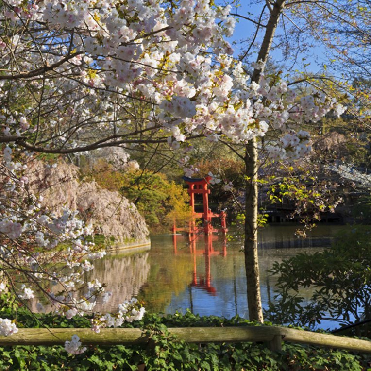 Un parc à NYC avec un lac paisible et des arbres verdoyants en arrière-plan.