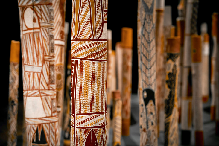 Poteaux en bois décorés de motifs traditionnels aborigènes aux tons terreux, avec formes géométriques et hachures, présentés comme installation artistique culturelle.