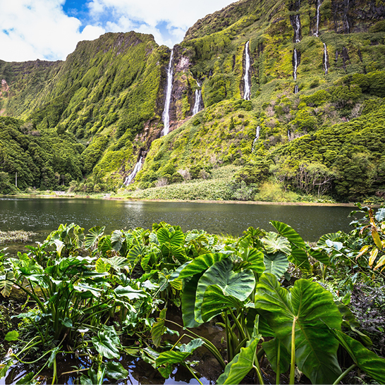 Wasserfälle und üppige Vegetation auf der Insel Flores.