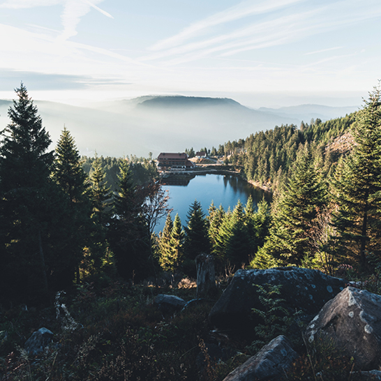 Nebliger Bergsee im Schwarzwald, umgeben von dichtem Nadelwald und einem einsam gelegenen Haus am Ufer.