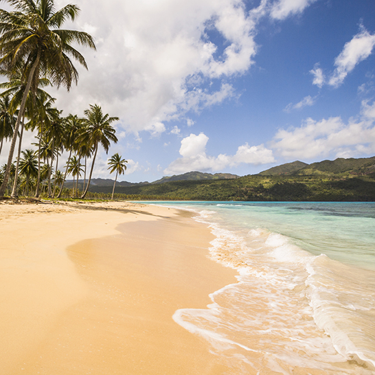 Sandstrand mit Palmen und blauem Himmel in der Dominikanischen Republik. Traumhafte Karibiklandschaft.