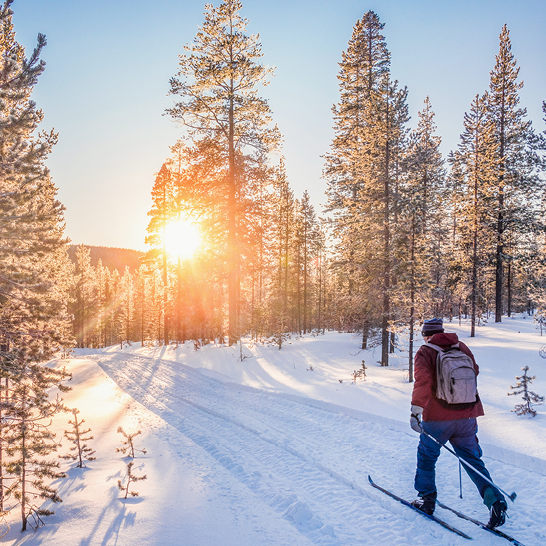 Un homme skie sur un sentier enneigé sous le soleil en Finlande.