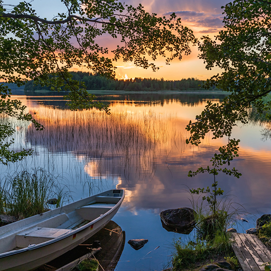 Un bateau repose sur le rivage d'un lac en Finlande, entouré de nature paisible.