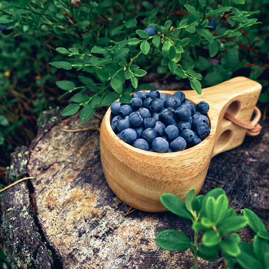 Un bol en bois rempli de myrtilles, typique de la Finlande.