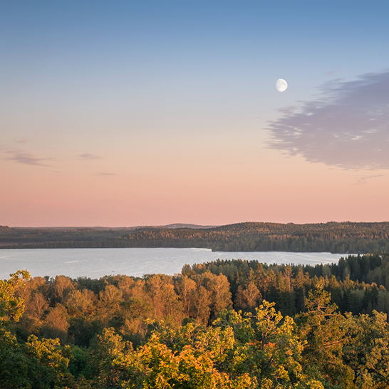 Vue d'un lac en Finlande avec la lune brillante au-dessus des arbres.