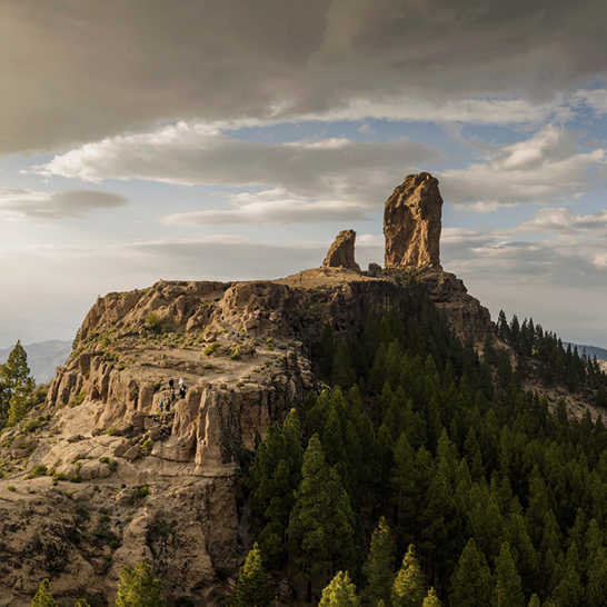 Formation rocheuse au sommet du Roque Nublo, à Grande Canarie, entourée d'arbres luxuriants et d'un paysage majestueux.
