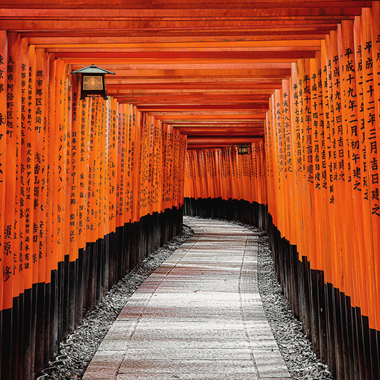 Allée bordée de torii orange au sanctuaire Fushimi Inari-taisha, créant une atmosphère paisible et spirituelle.