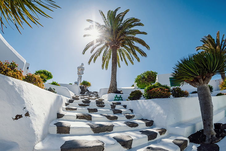 Une maison blanche dont les marches mènent à un palmier, au cœur des paysages de Lanzarote.