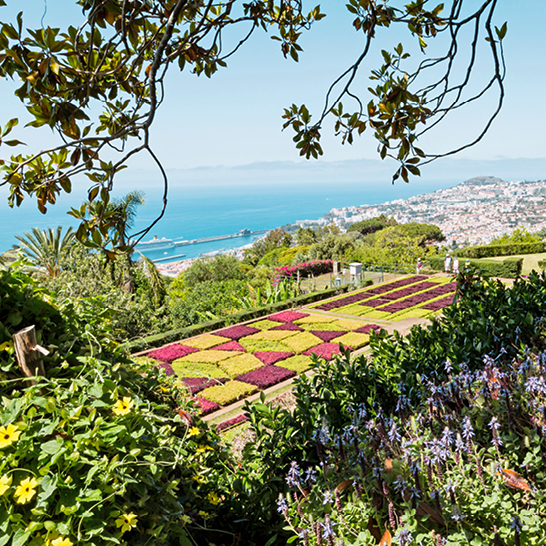 Un jardin fleuri avec une vue panoramique sur l'océan en arrière-plan.