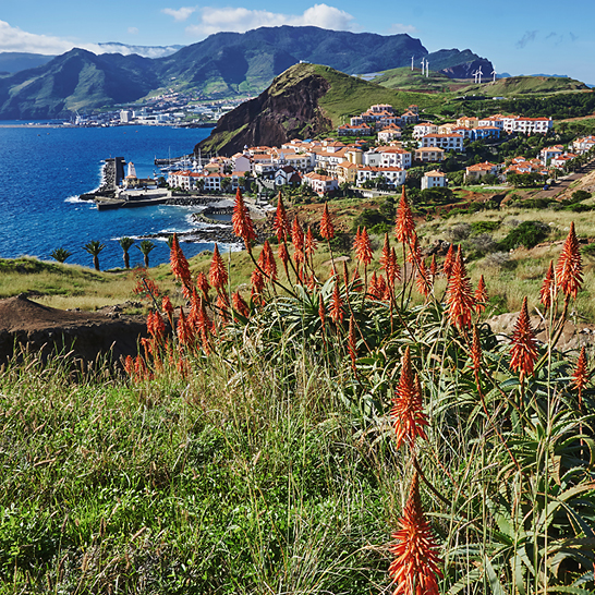 Plage, ville animée et montagne majestueuse en arrière-plan.