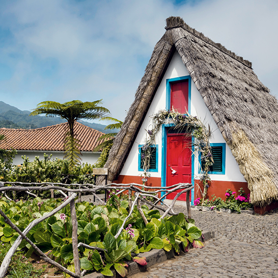 Une maison au toit de chaume avec un palmier à côté, évoquant une ambiance tropicale et chaleureuse.