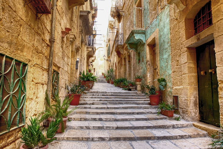 Enge Steingasse mit Treppen, historischen Häusern und vielen Topfpflanzen in einer ruhigen Altstadt von Malta.
