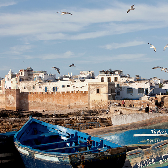Blaue Fischerboote vor den Stadtmauern von Essaouira, mit weissen Häusern und Möwen über der Küste.
