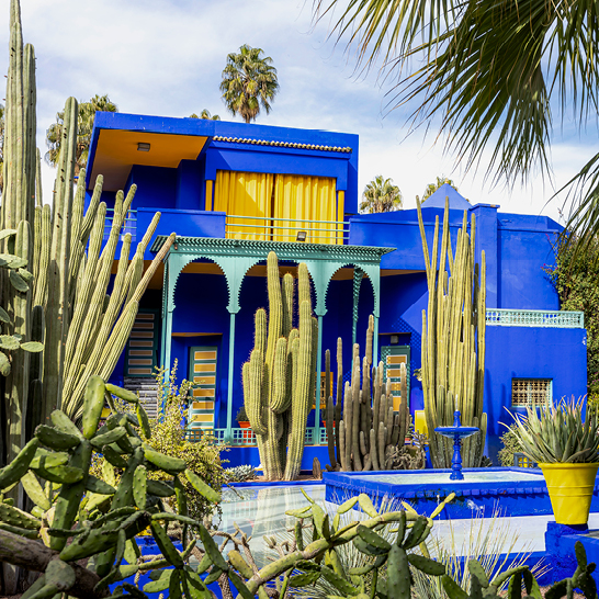Blaues Gebäude im Jardin Majorelle in Marrakesch, umgeben von hohen Kakteen, Palmen und farbigen Akzenten.