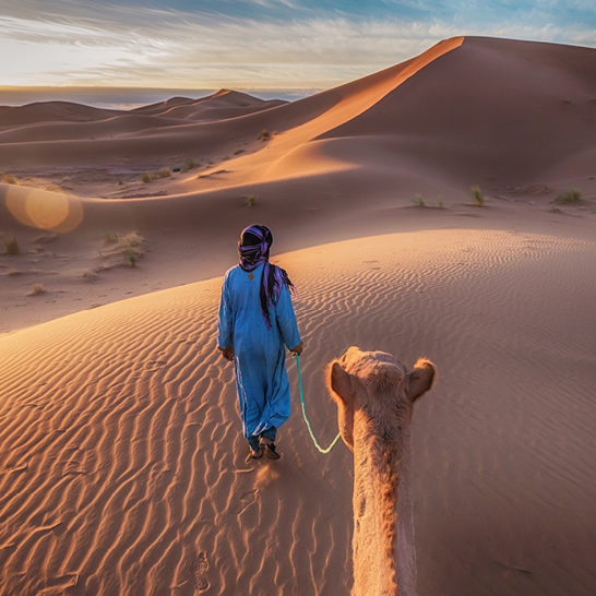 Person in blauer Kleidung mit Kamel in den Sanddünen der Sahara, im warmen Licht des Sonnenuntergangs.