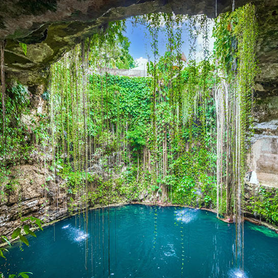 Cenote mit klarem türkisfarbenem Wasser, umgeben von Felswänden, üppiger Vegetation und herabhängenden Lianen.