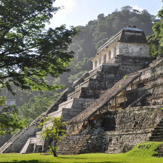 Maya‑Pyramide von Palenque, umgeben von dichter grüner Vegetation und Bergen im Hintergrund.