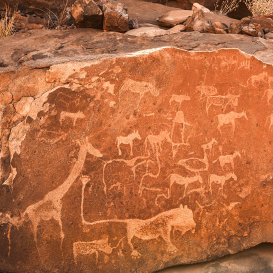 Felsplatte mit prähistorischen Tiergravuren, darunter Giraffen und Antilopen, in der Felslandschaft von Twyfelfontein.