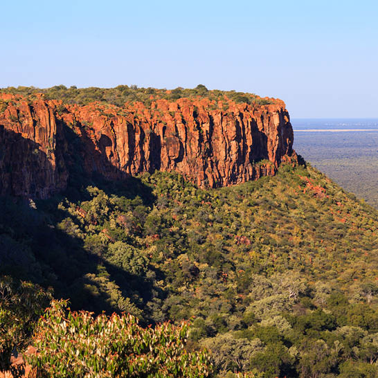 Rötlicher Felsabbruch des Waterberg‑Plateaus über einer grünen, baumbestandenen Ebene unter klarem Himmel.