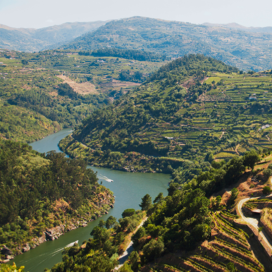 Une rivière qui coule paisiblement au milieu d'une vallée entourée de collines.