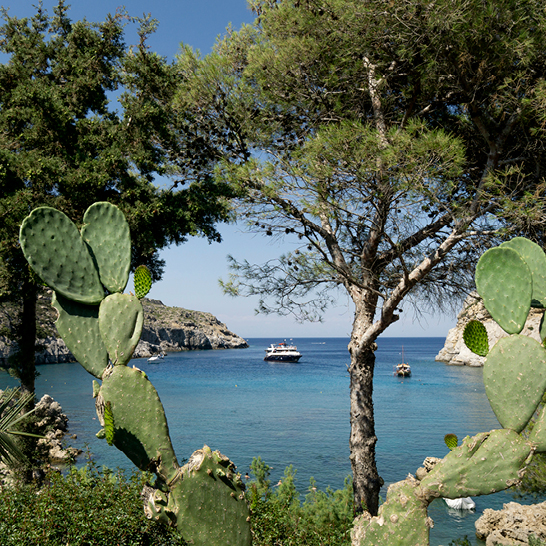 Vue sur la baie Anthony Quinn à Rhodes, avec cactus, falaises rocheuses, eau turquoise et bateaux au mouillage.