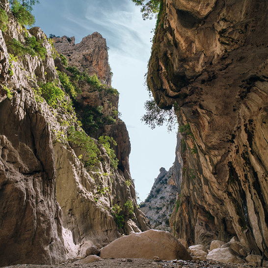 Gola su Gorropu: Ein enger Canyon mit beeindruckenden Felsen und Bäumen, die in der Mitte wachsen.