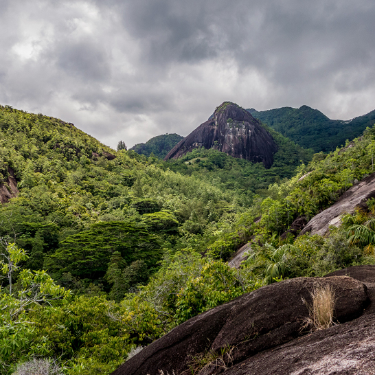  Blick auf die Berge und üppige grüne Vegetation der Seychellen.