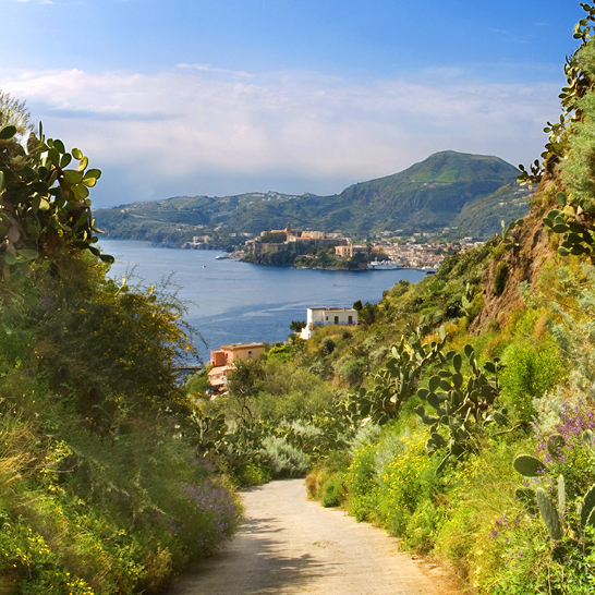 Pfad mit Vegetation, der zu einer Bucht der Aeolischen Inseln hinabführt, mit einem Kuestendorf und einem Felsen, der das Meer ueberragt.