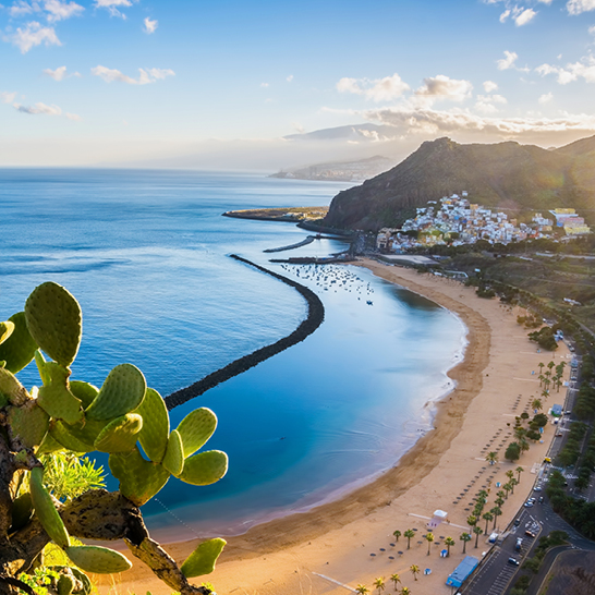 Vue imprenable sur Tenerife, l'une des îles Canaries, avec sa nature et son littoral typiques.