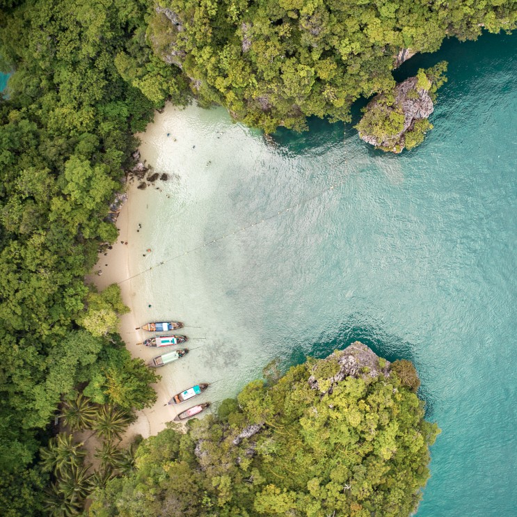 Luftperspektive über einer geschwungenen Bucht mit blauem Meer und grüner Vegetation rundherum