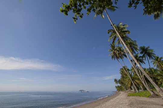 langer, palmengesäumter Sandstrand von Negros