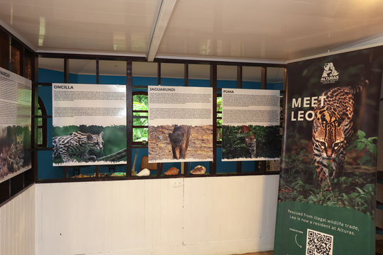grüner Schulungsraum mit vielen Plakaten zu den Projekten der Partnerorganisationen Innoceana