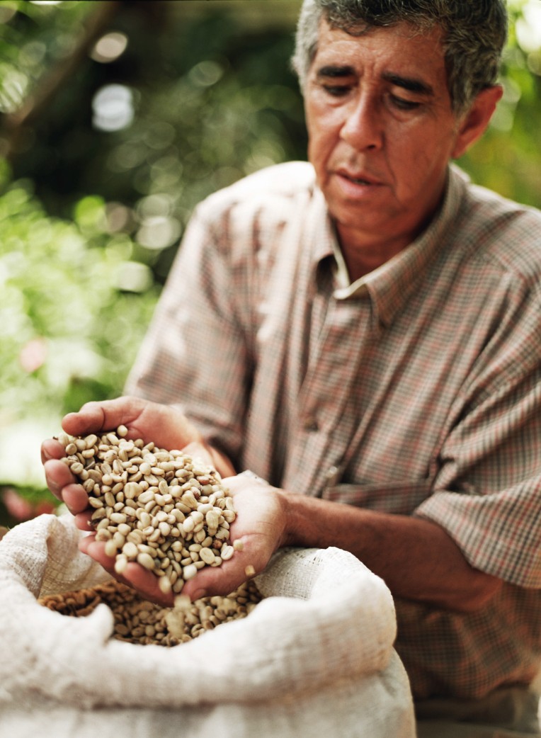Man showing his hands full of coffee beans to the camera