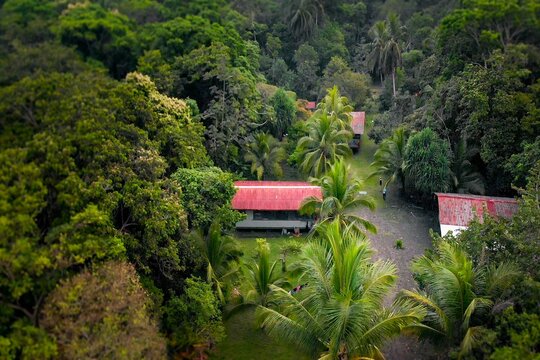 Die Verwaltung des Schutzgebiets liegt im  umgeben vom Dschungel des Pacuare Reservats.