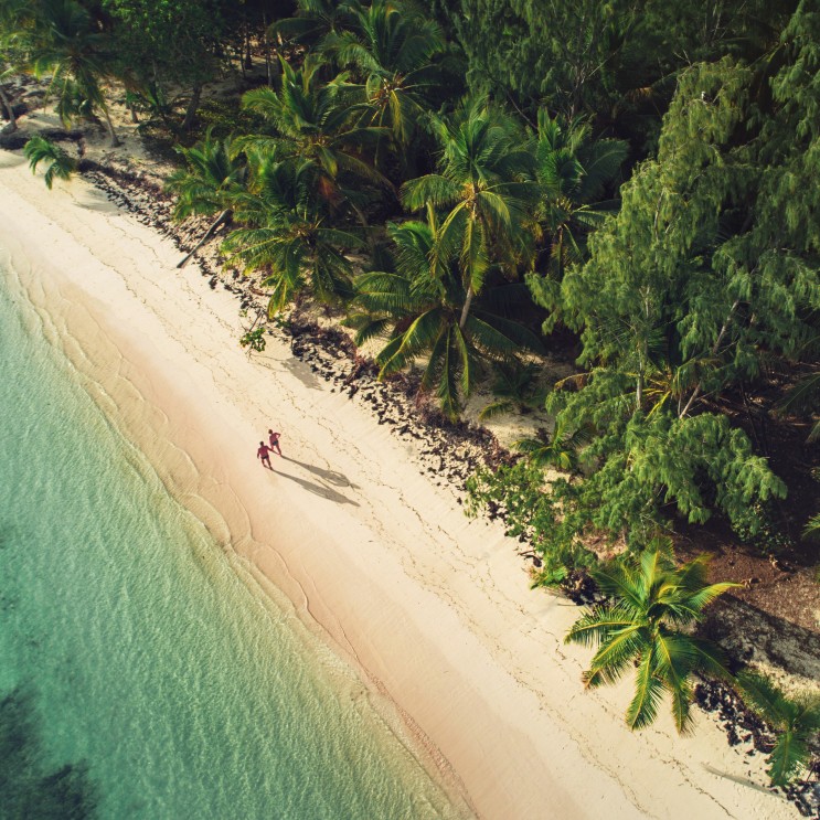 Luftbild eines Karibikstrandes mit zwei Männern die zwischen dem Meer und Palmen laufen